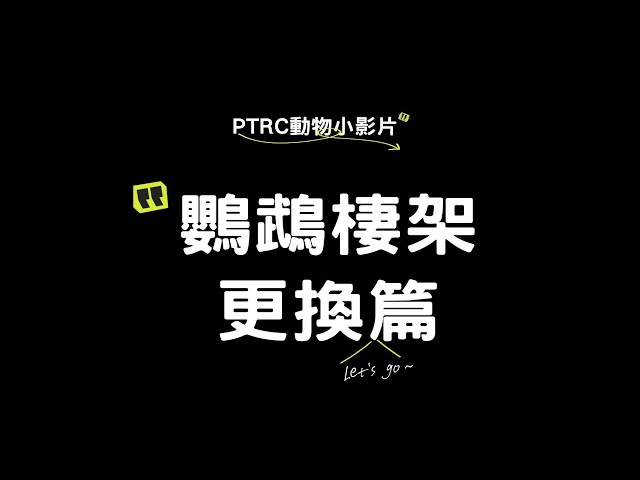 【全能籠舍改造王】鸚鵡棲架更換全紀錄🐦🛠️✨